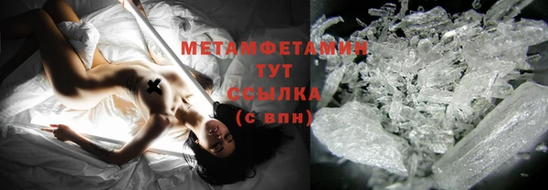 хмурый Белокуриха