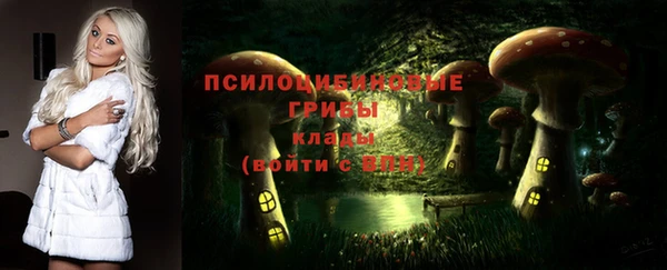 дурь Балахна