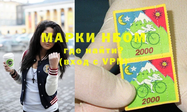 хмурый Белокуриха