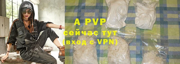 хмурый Белокуриха
