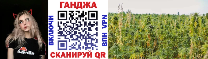 Канабис сатива  магазин продажи   Шенкурск 